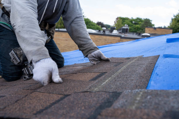 Professional Roofing Contractor in Lake Waccamaw, NC